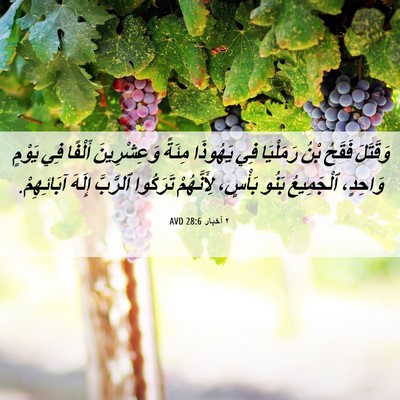Picture 06 - ٢ أخبار 28:6 AVD - وَقَتَلَ فَقَحُ بْنُ - Bible Verse Picture