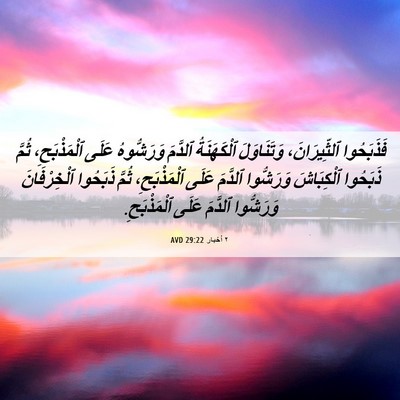 Picture 06 - ٢ أخبار 29:22 AVD - فَذَبَحُوا ٱلثِّيرَانَ، - Bible Verse Picture