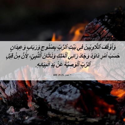 Picture 06 - ٢ أخبار 29:25 AVD - وَأَوْقَفَ ٱللَّاوِيِّينَ - Bible Verse Picture