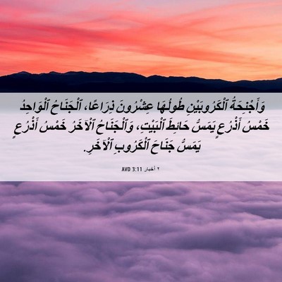 Picture 06 - ٢ أخبار 3:11 AVD - وَأَجْنِحَةُ - Bible Verse Picture