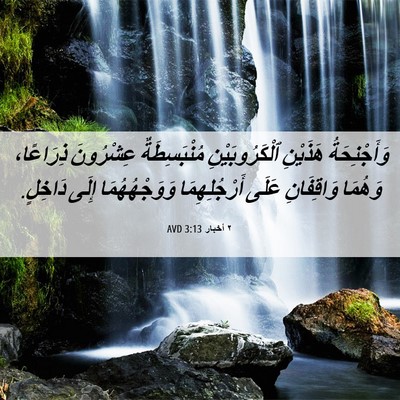 Picture 06 - ٢ أخبار 3:13 AVD - وَأَجْنِحَةُ هَذَيْنِ - Bible Verse Picture