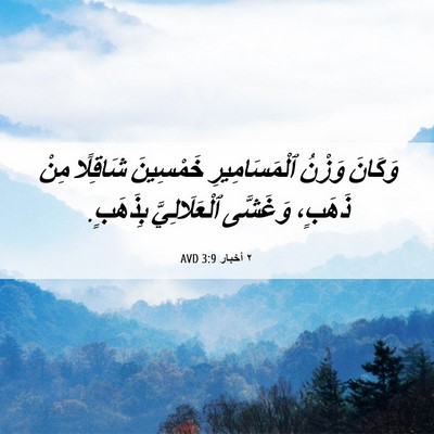 Picture 06 - ٢ أخبار 3:9 AVD - وَكَانَ وَزْنُ - Bible Verse Picture