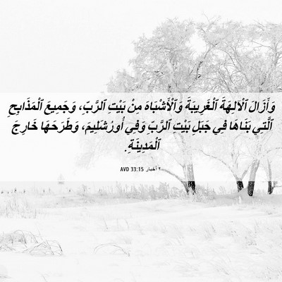 Picture 06 - ٢ أخبار 33:15 AVD - وَأَزَالَ ٱلْآلِهَةَ - Bible Verse Picture