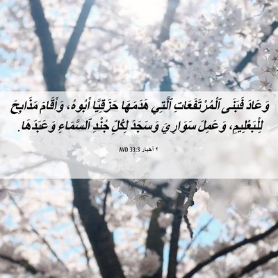 Picture 06 - ٢ أخبار 33:3 AVD - وَعَادَ فَبَنَى - Bible Verse Picture