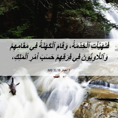 Picture 06 - ٢ أخبار 35:10 AVD - فَتَهَيَّأَتِ - Bible Verse Picture