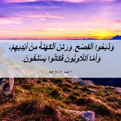 Picture 06 - ٢ أخبار 35:11 AVD - وَذَبَحُوا ٱلْفِصْحَ. - Bible Verse Picture
