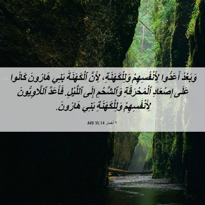Picture 06 - ٢ أخبار 35:14 AVD - وَبَعْدُ أَعَدُّوا - Bible Verse Picture