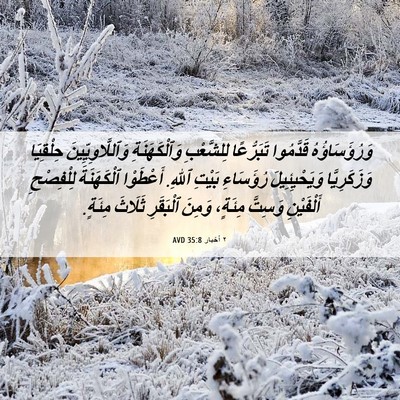 Picture 06 - ٢ أخبار 35:8 AVD - وَرُؤَسَاؤُهُ قَدَّمُوا - Bible Verse Picture