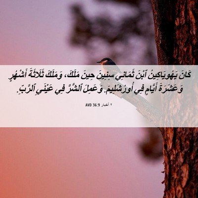 Picture 06 - ٢ أخبار 36:9 AVD - كَانَ يَهُويَاكِينُ ٱبْنَ - Bible Verse Picture