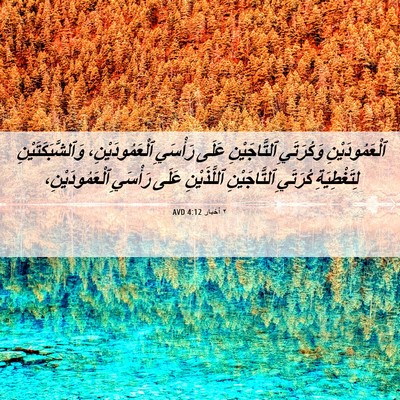 Picture 06 - ٢ أخبار 4:12 AVD - ٱلْعَمُودَيْنِ وَكُرَتَيِ - Bible Verse Picture