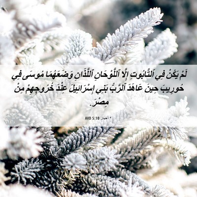 Picture 06 - ٢ أخبار 5:10 AVD - لَمْ يَكُنْ فِي - Bible Verse Picture