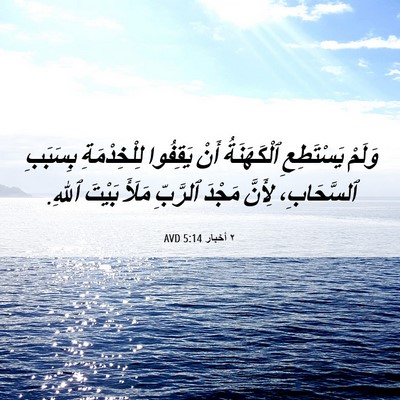 Picture 06 - ٢ أخبار 5:14 AVD - وَلَمْ يَسْتَطِعِ - Bible Verse Picture