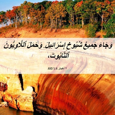 Picture 06 - ٢ أخبار 5:4 AVD - وَجَاءَ جَمِيعُ شُيُوخِ - Bible Verse Picture