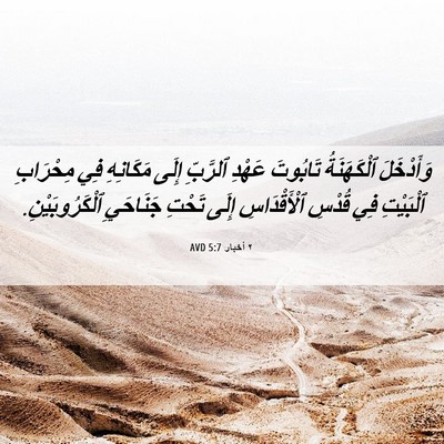 Picture 06 - ٢ أخبار 5:7 AVD - وَأَدْخَلَ ٱلْكَهَنَةُ - Bible Verse Picture