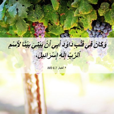 Picture 06 - ٢ أخبار 6:7 AVD - وَكَانَ فِي قَلْبِ دَاوُدَ - Bible Verse Picture