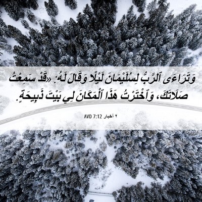 Picture 06 - ٢ أخبار 7:12 AVD - وَتَرَاءَى ٱلرَّبُّ - Bible Verse Picture