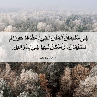 Picture 06 - ٢ أخبار 8:2 AVD - بَنَى سُلَيْمَانُ - Bible Verse Picture