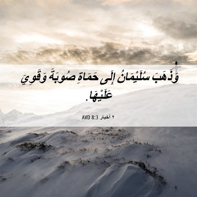 Picture 06 - ٢ أخبار 8:3 AVD - وَذَهَبَ سُلَيْمَانُ - Bible Verse Picture