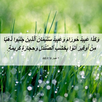 Picture 06 - ٢ أخبار 9:10 AVD - وَكَذَا عَبِيدُ حُورَامَ - Bible Verse Picture