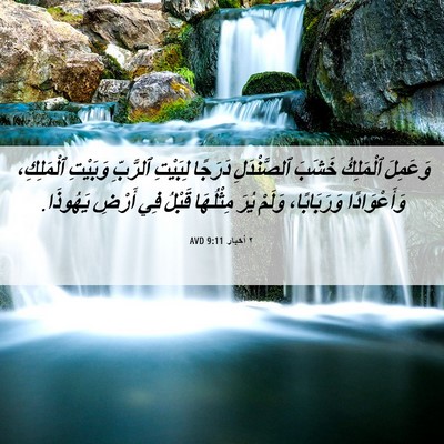 Picture 06 - ٢ أخبار 9:11 AVD - وَعَمِلَ ٱلْمَلِكُ خَشَبَ - Bible Verse Picture