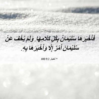 Picture 06 - ٢ أخبار 9:2 AVD - فَأَخْبَرَهَا سُلَيْمَانُ - Bible Verse Picture
