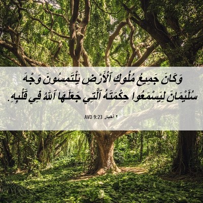 Picture 06 - ٢ أخبار 9:23 AVD - وَكَانَ جَمِيعُ مُلُوكِ - Bible Verse Picture