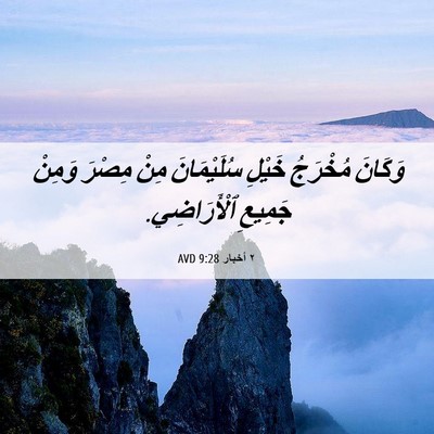 Picture 06 - ٢ أخبار 9:28 AVD - وَكَانَ مُخْرَجُ خَيْلِ - Bible Verse Picture