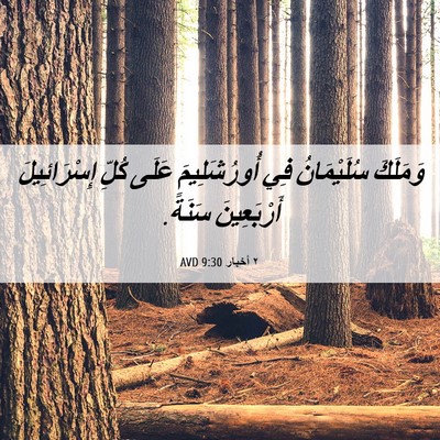 Picture 06 - ٢ أخبار 9:30 AVD - وَمَلَكَ سُلَيْمَانُ فِي - Bible Verse Picture