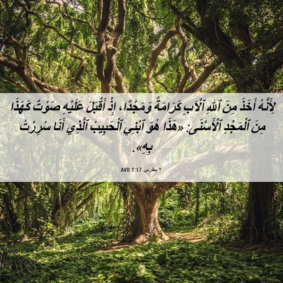 Picture 06 - ٢ بطرس 1:17 AVD - لِأَنَّهُ أَخَذَ مِنَ - Bible Verse Picture