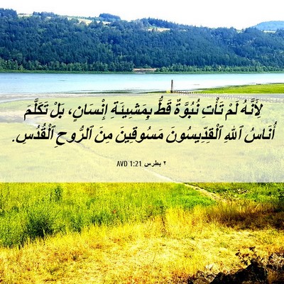 Picture 06 - ٢ بطرس 1:21 AVD - لِأَنَّهُ لَمْ تَأْتِ - Bible Verse Picture