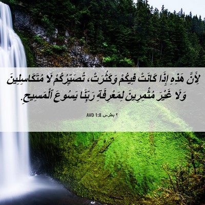 Picture 06 - ٢ بطرس 1:8 AVD - لِأَنَّ هَذِهِ إِذَا - Bible Verse Picture