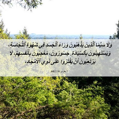 Picture 06 - ٢ بطرس 2:10 AVD - وَلَا سِيَّمَا ٱلَّذِينَ - Bible Verse Picture