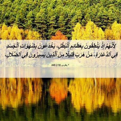 Picture 06 - ٢ بطرس 2:18 AVD - لِأَنَّهُمْ إِذْ - Bible Verse Picture