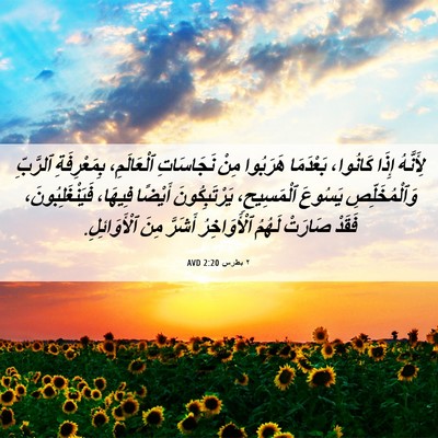 Picture 06 - ٢ بطرس 2:20 AVD - لِأَنَّهُ إِذَا كَانُوا، - Bible Verse Picture