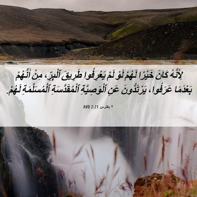 Picture 06 - ٢ بطرس 2:21 AVD - لِأَنَّهُ كَانَ خَيْرًا - Bible Verse Picture