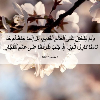 Picture 06 - ٢ بطرس 2:5 AVD - وَلَمْ يُشْفِقْ عَلَى - Bible Verse Picture
