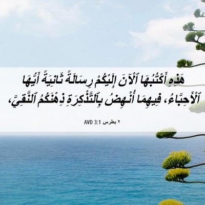 Picture 06 - ٢ بطرس 3:1 AVD - هَذِهِ أَكْتُبُهَا ٱلْآنَ - Bible Verse Picture