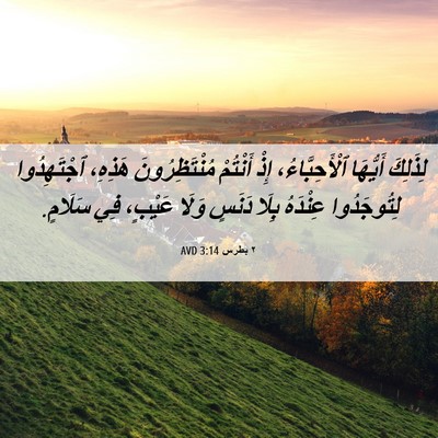 Picture 06 - ٢ بطرس 3:14 AVD - لِذَلِكَ أَيُّهَا - Bible Verse Picture