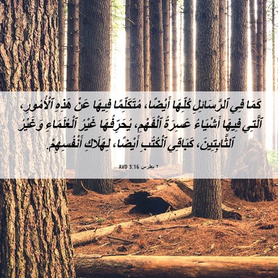 Picture 06 - ٢ بطرس 3:16 AVD - كَمَا فِي ٱلرَّسَائِلِ - Bible Verse Picture