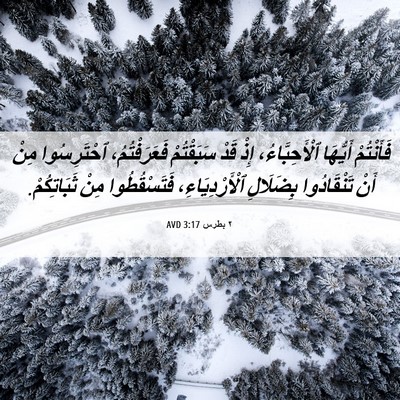 Picture 06 - ٢ بطرس 3:17 AVD - فَأَنْتُمْ أَيُّهَا - Bible Verse Picture