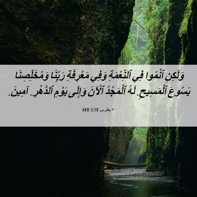 Picture 06 - ٢ بطرس 3:18 AVD - وَلَكِنِ ٱنْمُوا فِي - Bible Verse Picture