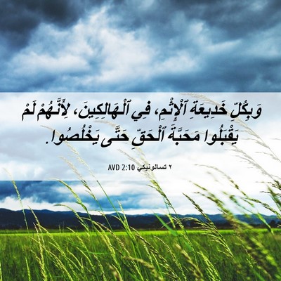 Picture 06 - ٢ تسالونيكي 2:10 AVD - وَبِكُلِّ خَدِيعَةِ - Bible Verse Picture