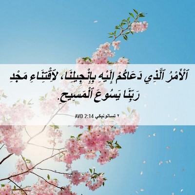 Picture 06 - ٢ تسالونيكي 2:14 AVD - ٱلْأَمْرُ ٱلَّذِي - Bible Verse Picture