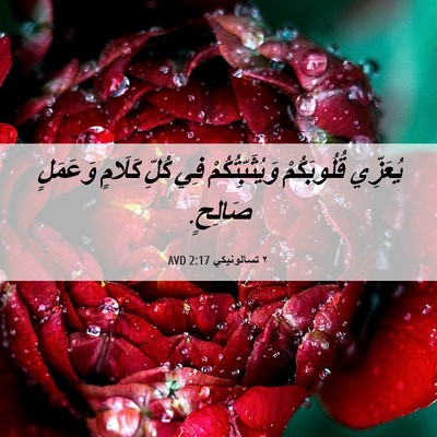 Picture 06 - ٢ تسالونيكي 2:17 AVD - يُعَزِّي قُلُوبَكُمْ - Bible Verse Picture