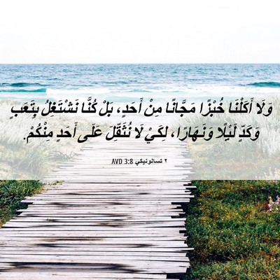 Picture 06 - ٢ تسالونيكي 3:8 AVD - وَلَا أَكَلْنَا خُبْزًا - Bible Verse Picture