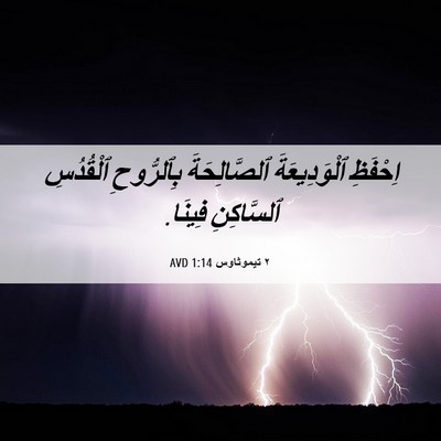 Picture 06 - ٢ تيموثاوس 1:14 AVD - اِحْفَظِ ٱلْوَدِيعَةَ - Bible Verse Picture