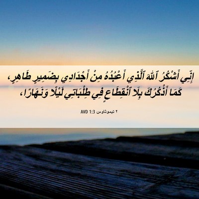 Picture 06 - ٢ تيموثاوس 1:3 AVD - إِنِّي أَشْكُرُ ٱللهَ - Bible Verse Picture