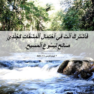 Picture 06 - ٢ تيموثاوس 2:3 AVD - فَٱشْتَرِكْ أَنْتَ فِي - Bible Verse Picture