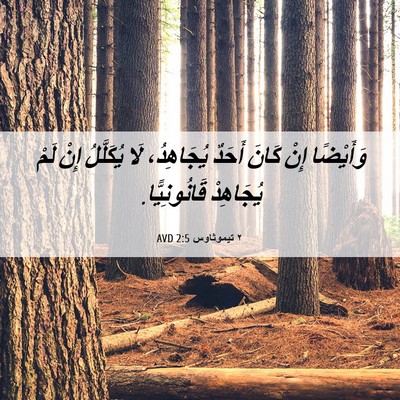 Picture 06 - ٢ تيموثاوس 2:5 AVD - وَأَيْضًا إِنْ كَانَ - Bible Verse Picture