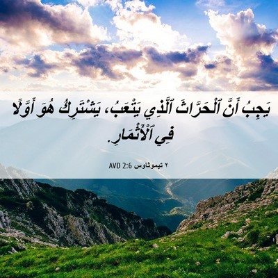 Picture 06 - ٢ تيموثاوس 2:6 AVD - يَجِبُ أَنَّ ٱلْحَرَّاثَ - Bible Verse Picture